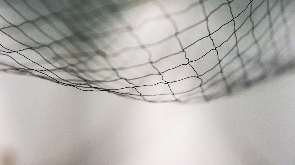 A net